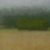 Landscape Pastel Painting